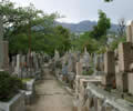 神戸市立小林墓地