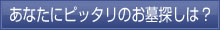 あなたにピッタリのお墓探しは？